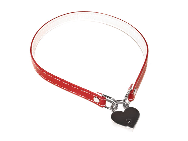 Locking Heart Collar