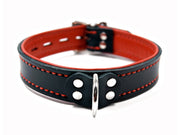 Fetish Collar in Black and Red Leather