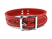 Locking Buckle Leather Collar