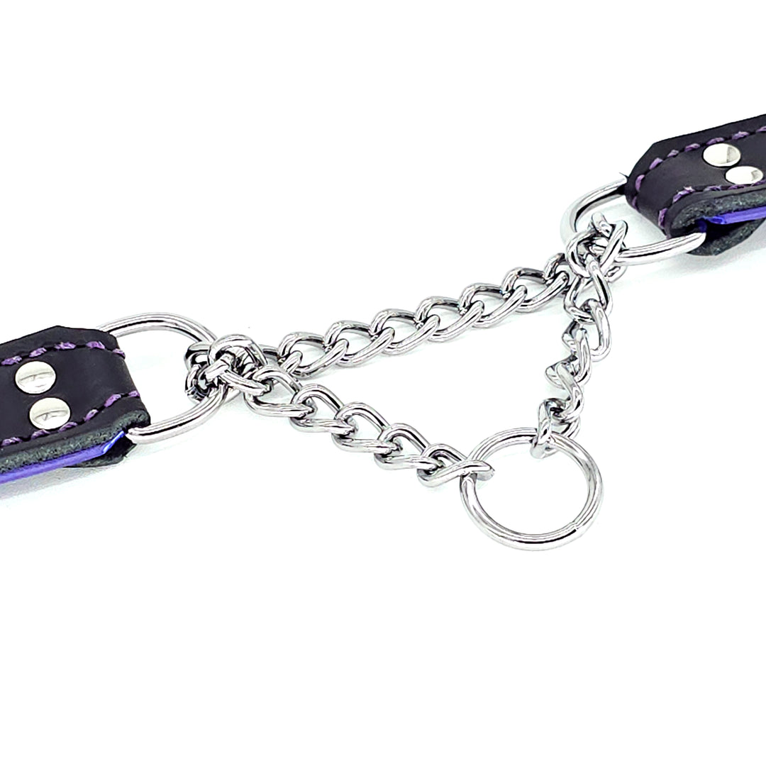 Leather Martingale Collar<br>Black & Purple