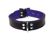 Fetish Fashion BDSM Leather Collar in Purple